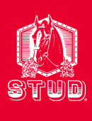 Stud Playing Cards (2 Deck Set) Deck of Cards