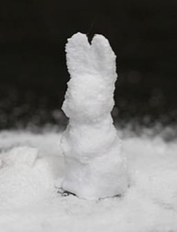 Sugar Bunny Trick