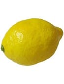 Super Real Latex Lemon Trick