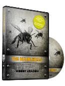 The Bumblebees  DVD