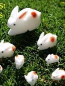 The Bunnies! 3D Rabbits (Sponge Rabbits) Trick