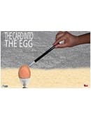 THE CARD INTO THE EGG Trick
