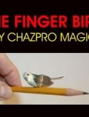 Finger Bird Trick