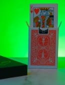 Haunted Deck Pro Deck of Cards