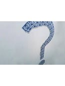 The Mystery Card Magic download (video)