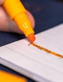 The Perfect Annotator  Puzzle