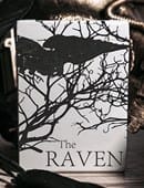 The Raven Black Dusk Playing Cards Deck of Cards