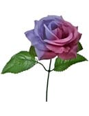 The Real Color Changing Flower Trick