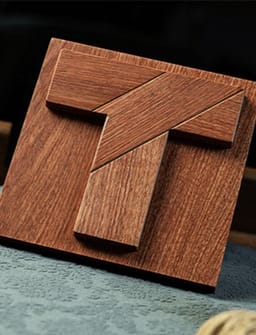 The Secret of T Puzzle Puzzle