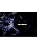 The Surprise Video download