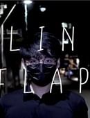 The Vault - Blind Flap Project Magic download (video)