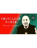 The Vault - Chameleon Pieces Video download