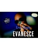 The Vault - Evanese Magic download (video)