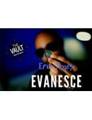 The Vault - Evanese Video download