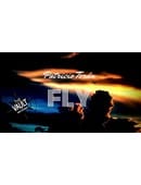 The Vault - Fly Video download