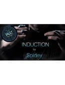 The Vault - Induction Video download