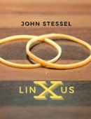 The Vault - LinXus Magic download (video)