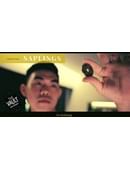 The Vault - Saplings Magic download (video)