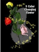 Three Color Changing Floating Flower Trick