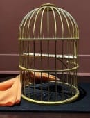 Tommy Wonder Classic Collection: Flying Birdcage Trick