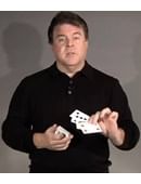 Top Palm Magic download (video)