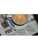 Torn and Restored Water in the Newspaper Gimmick Trick