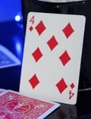 Glitch Card Trick