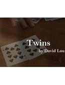Twins Video download