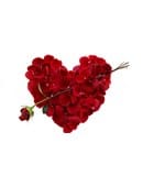 Valentine Intimacy Touch Video download