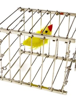 Vanishing Bird Cage Trick