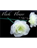 White Flash Flower  Trick