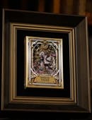 White Tiger Luxury Frame Deck of Cards