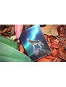 WILD Playing Cards Deck of Cards
