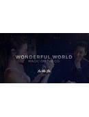 Wonderful World Video download