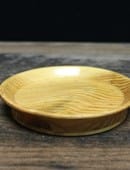Wooden Coin Tray Trick