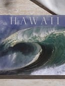 Zandman's Hawaii Trick