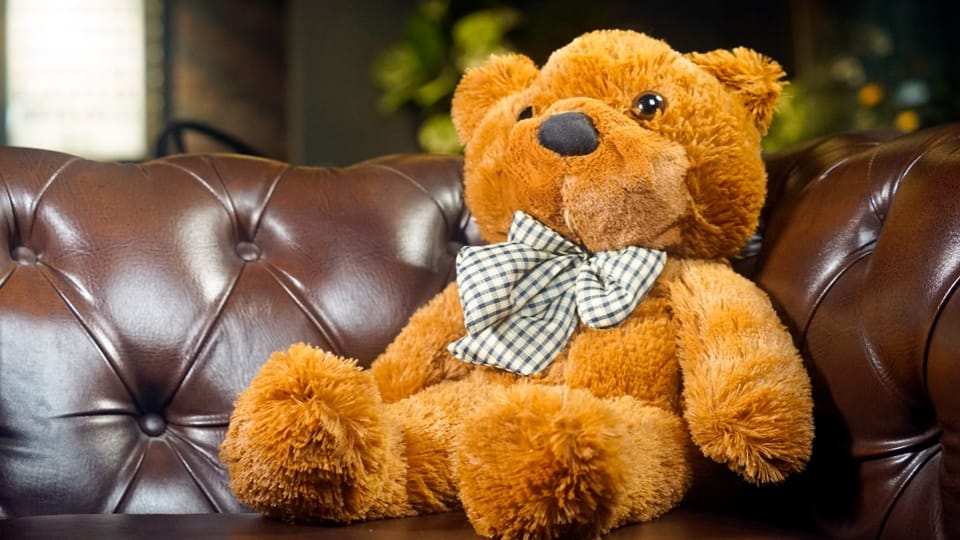 Appearing Teddy Bear
