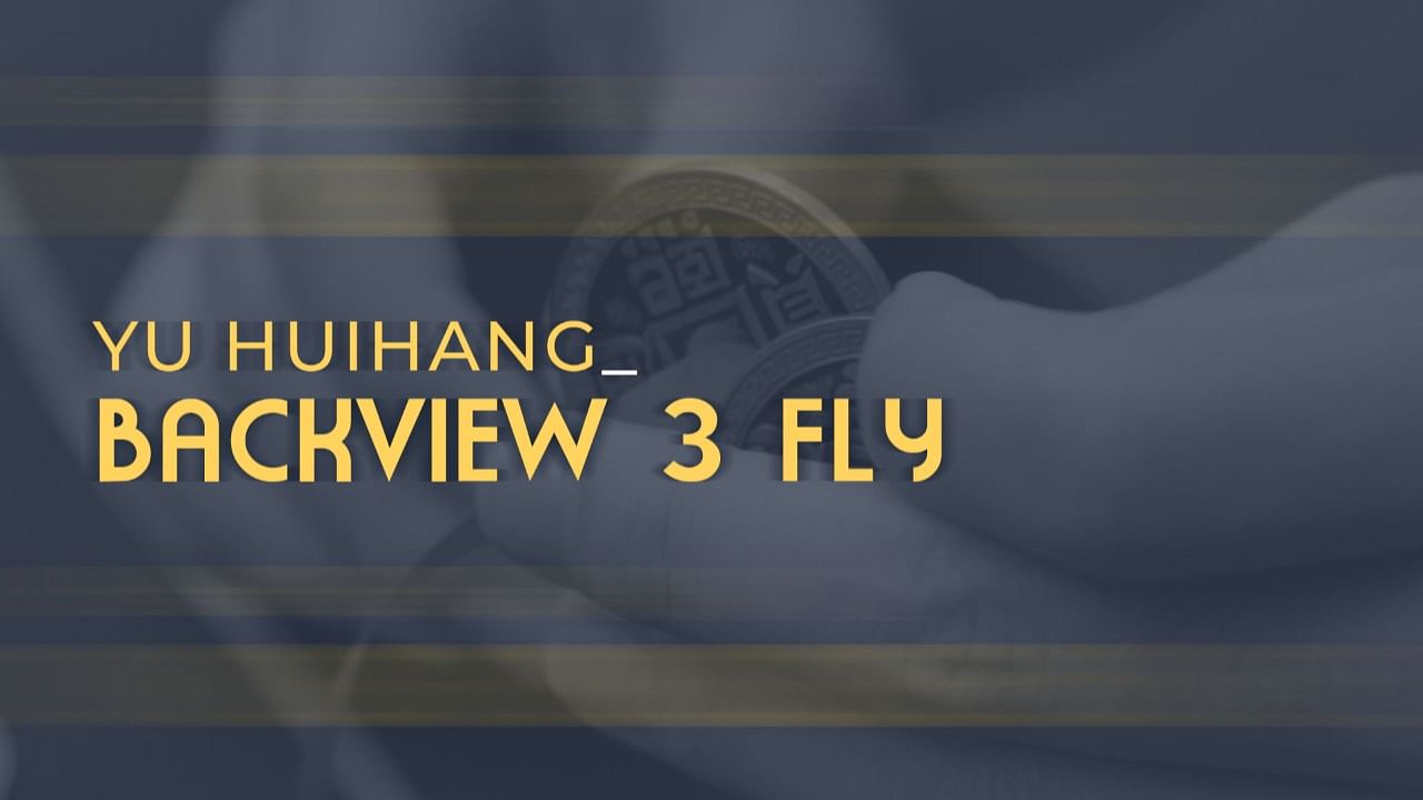 Backview 3 Fly - Yu Huihang - Vanishing Inc. Magic shop