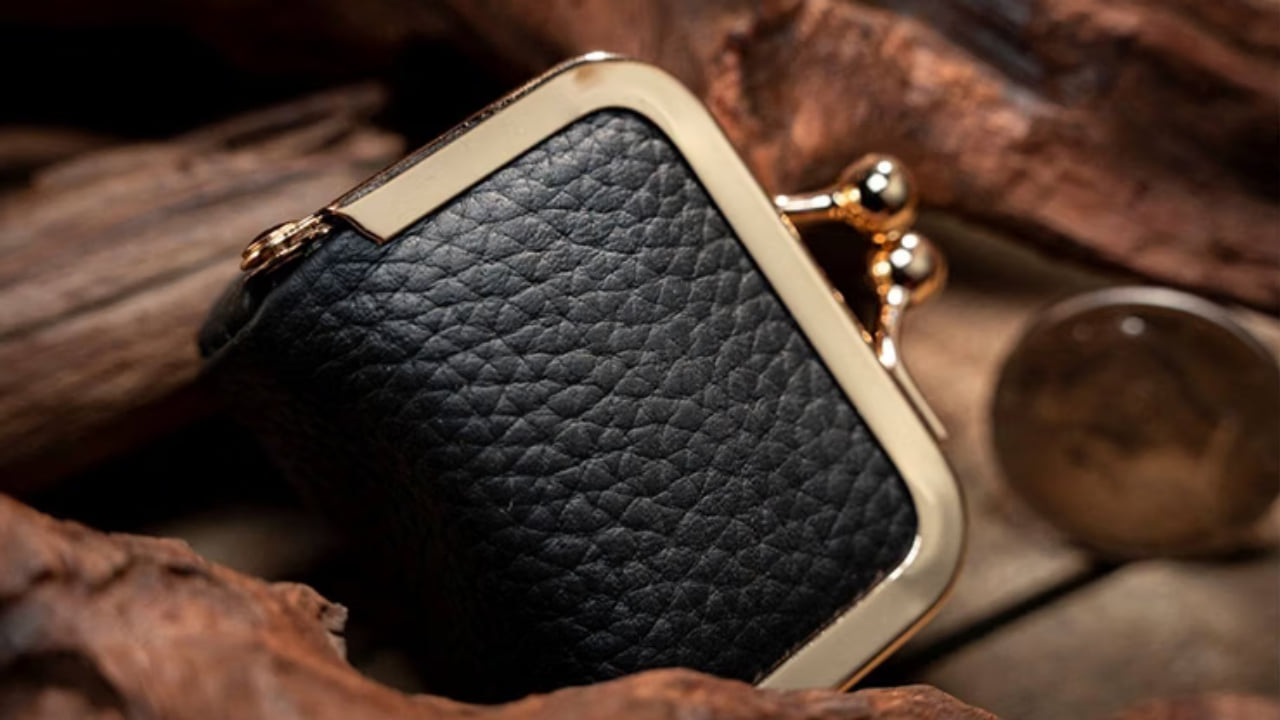 Coin Bag Accessory