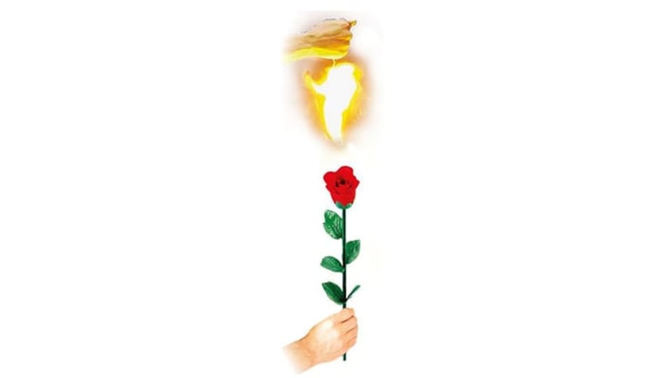 Instant Rose