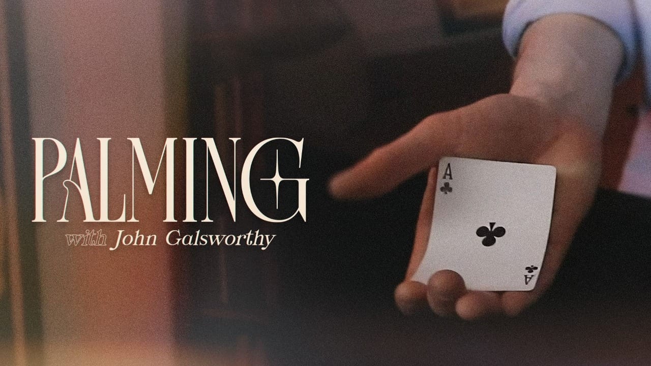 The Expert Palming Session Video download