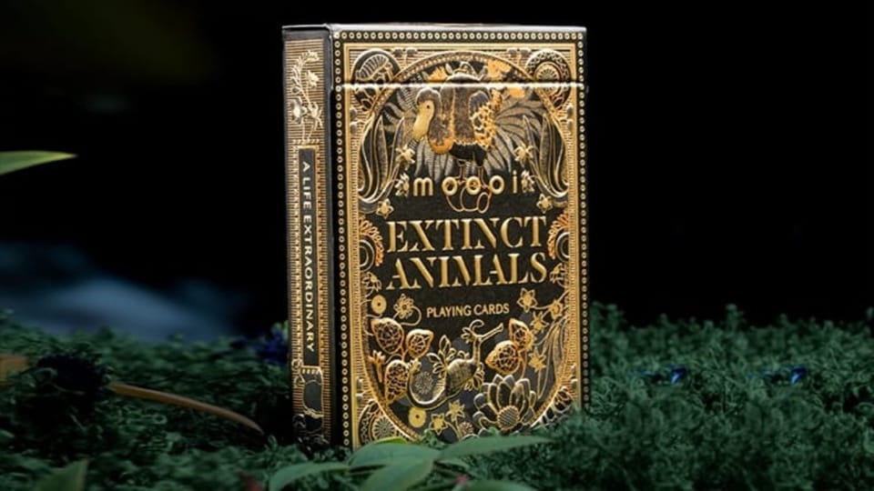 Moooi Collector's Edition