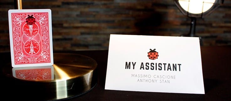 My Assistant