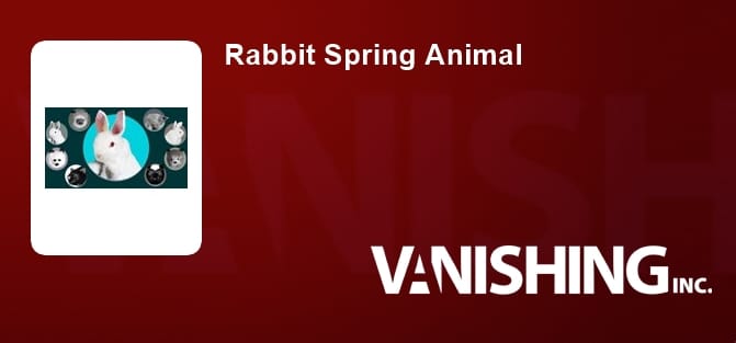 Rabbit Spring Animal