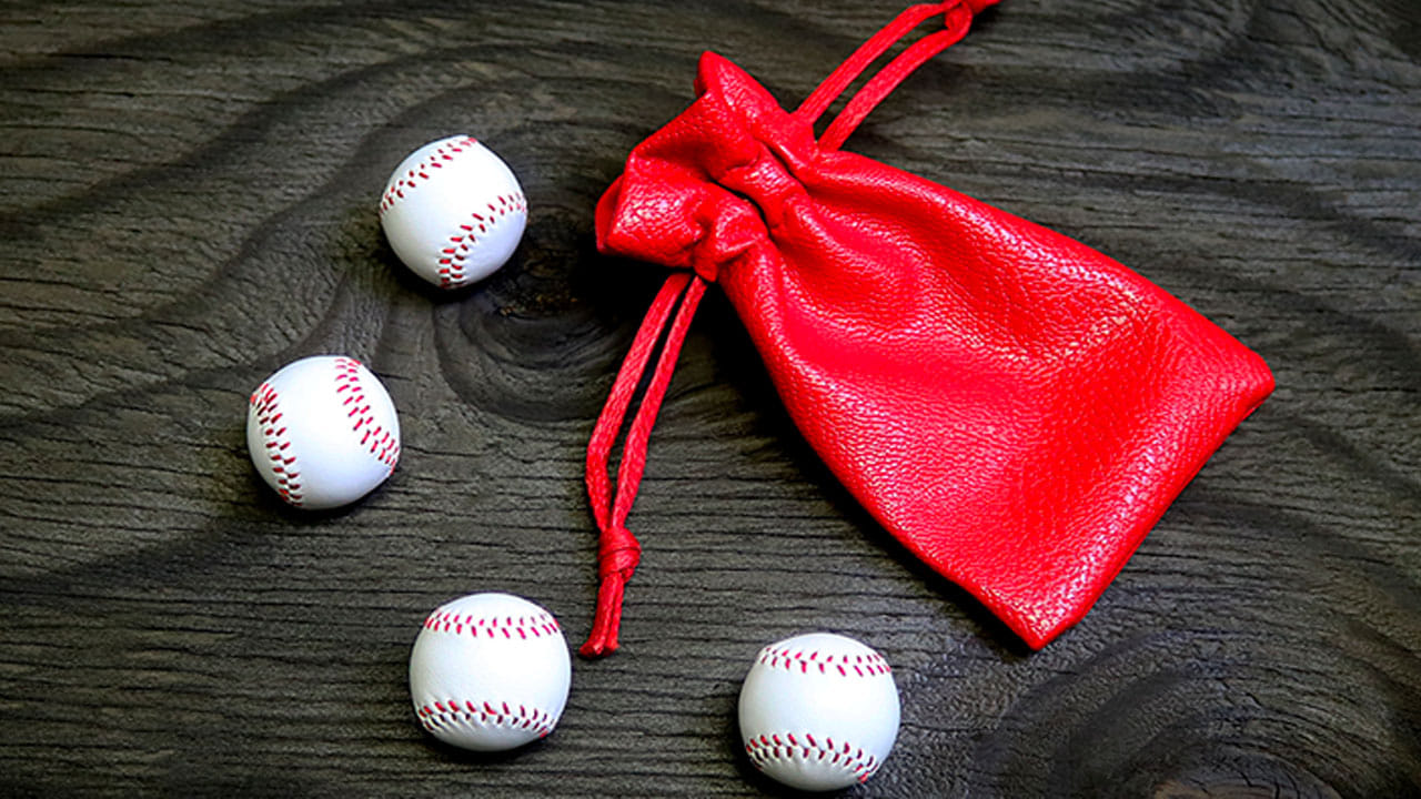 Set of 4 Leather Balls Trick