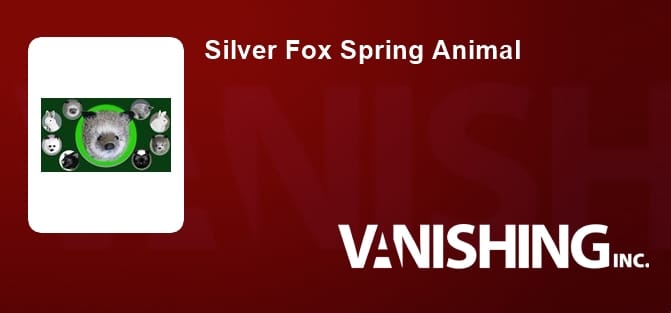 Silver Fox Spring Animal
