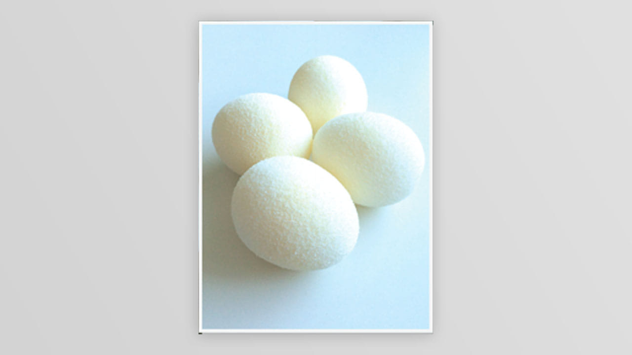 Sponge Eggs (4 pack) Accessory