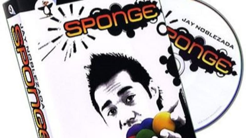 Sponge