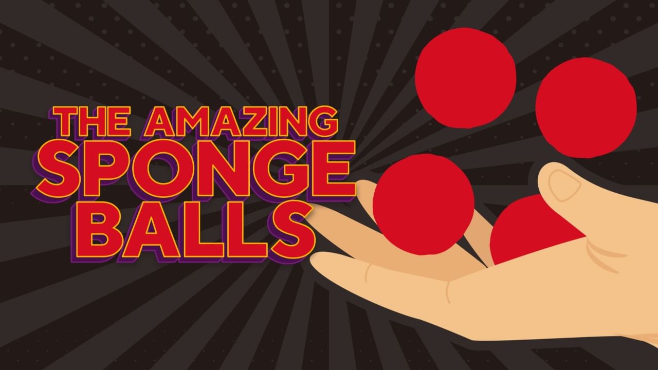 Amazing Sponge Balls
