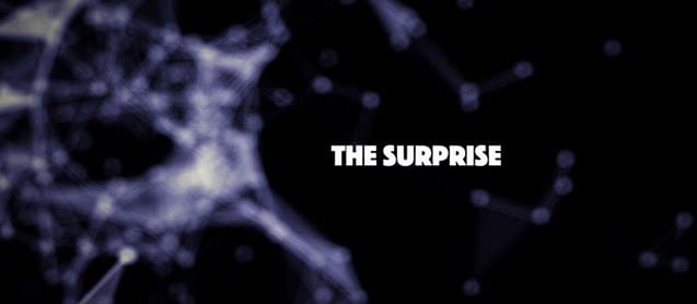 The Surprise